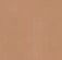 Lakme Absolute Instant Airbrush Concealer Pen - Sand (1.8 g)