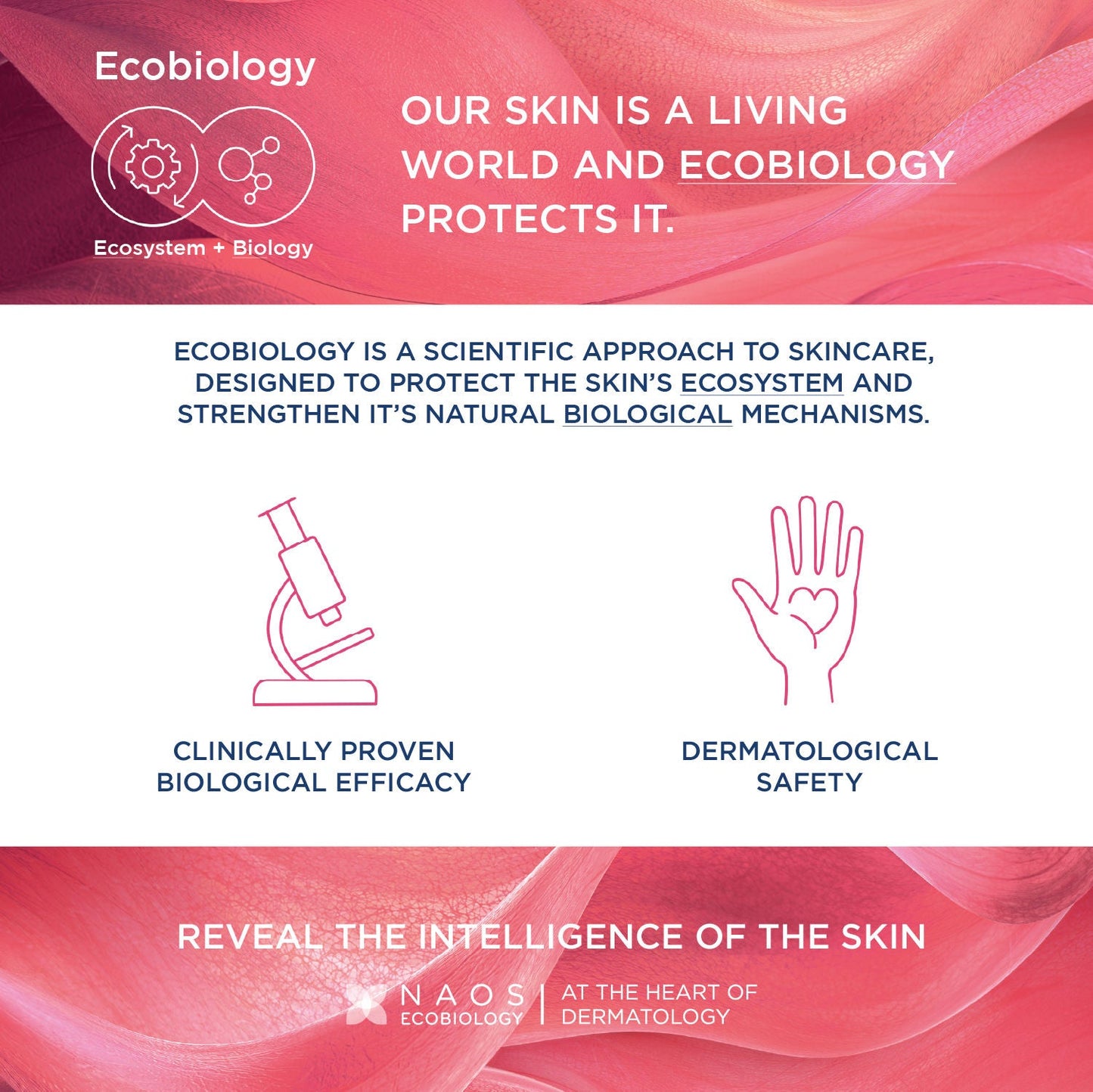 Bioderma Dermatological Micellar Water Sensibio H2O - Gently Removes Makeup Prevents Clogged Pores (250ml)