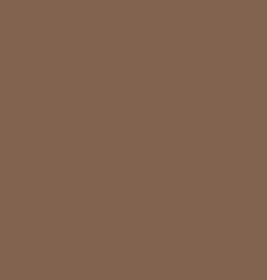 Lakme Absolute Instant Airbrush Concealer Pen - Cocoa (1.8 g)